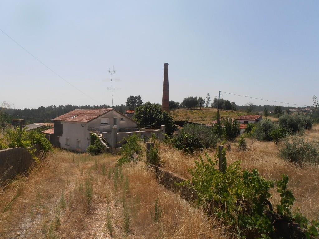 Image4