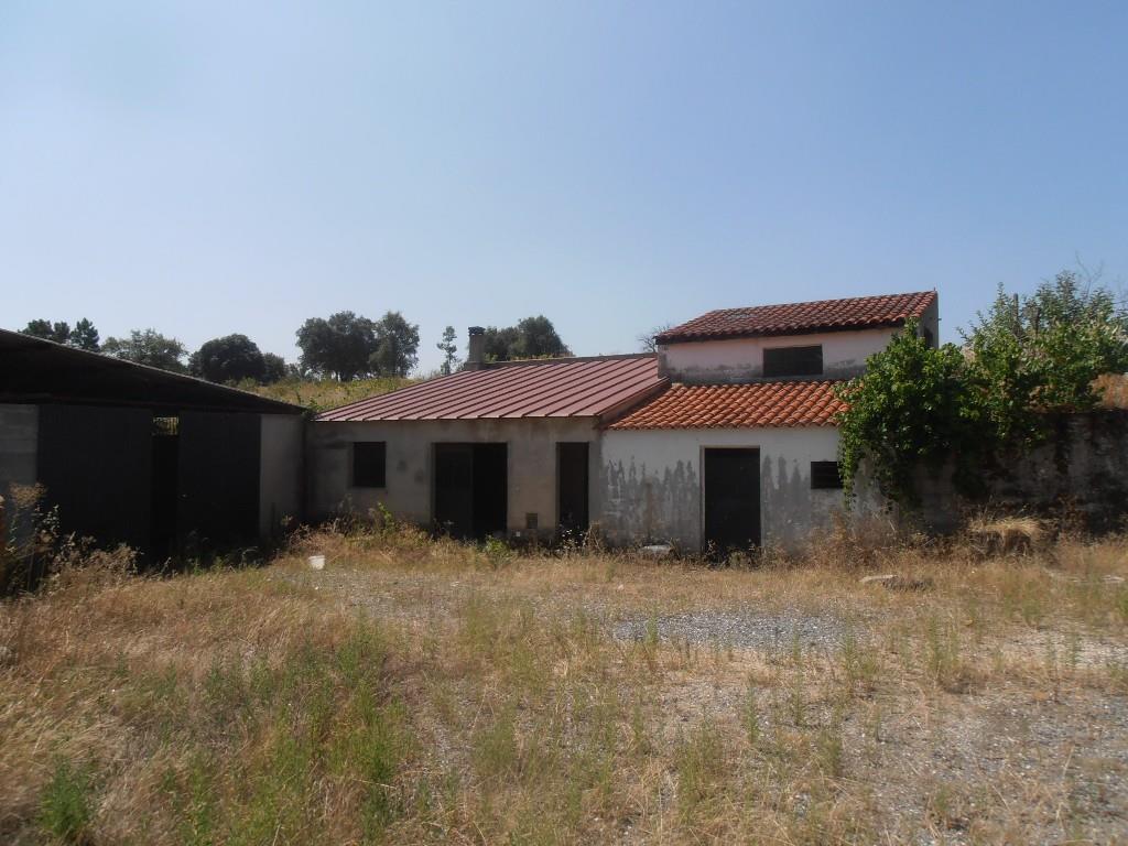 Image3
