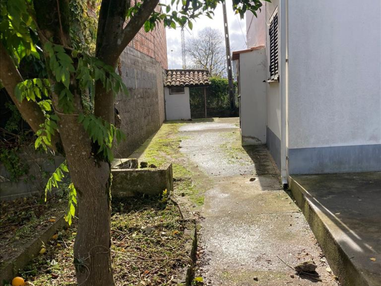 Moradia T2 em Ourém - Image 23