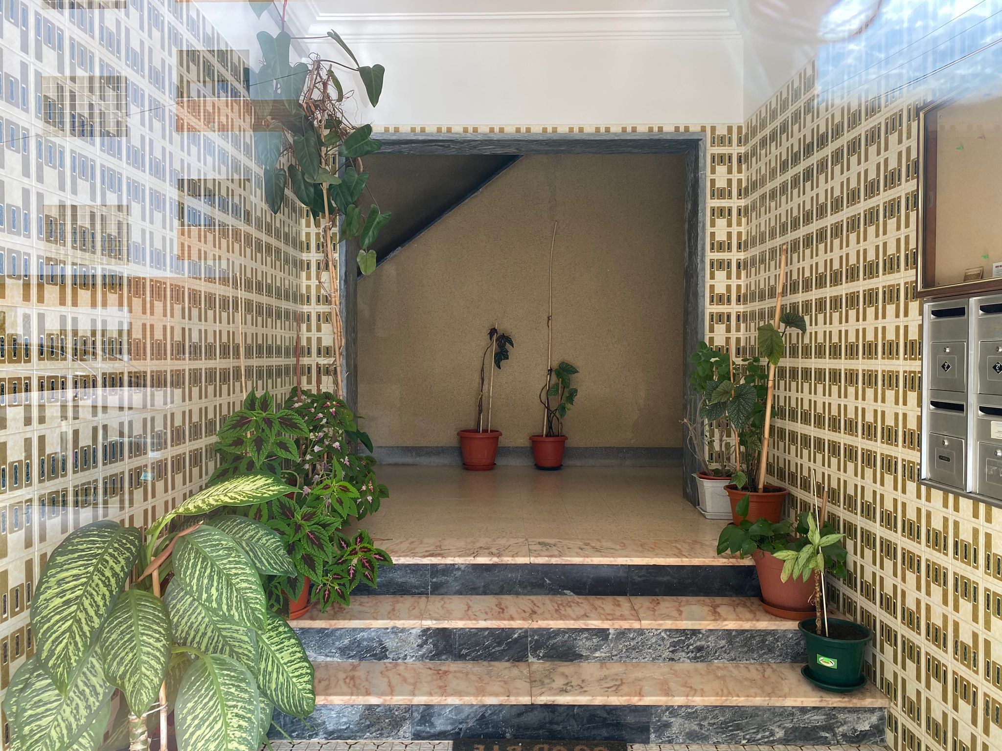 Image3