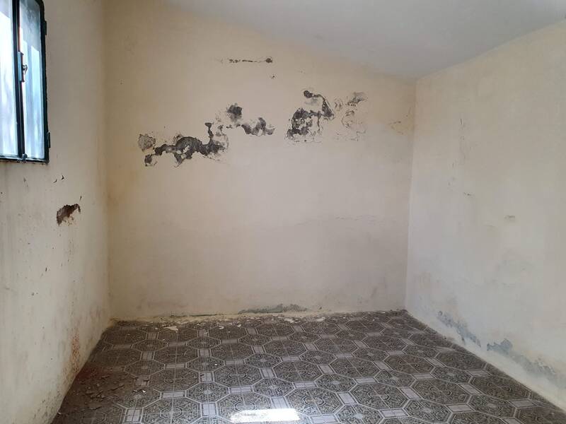 undefined - Image 6