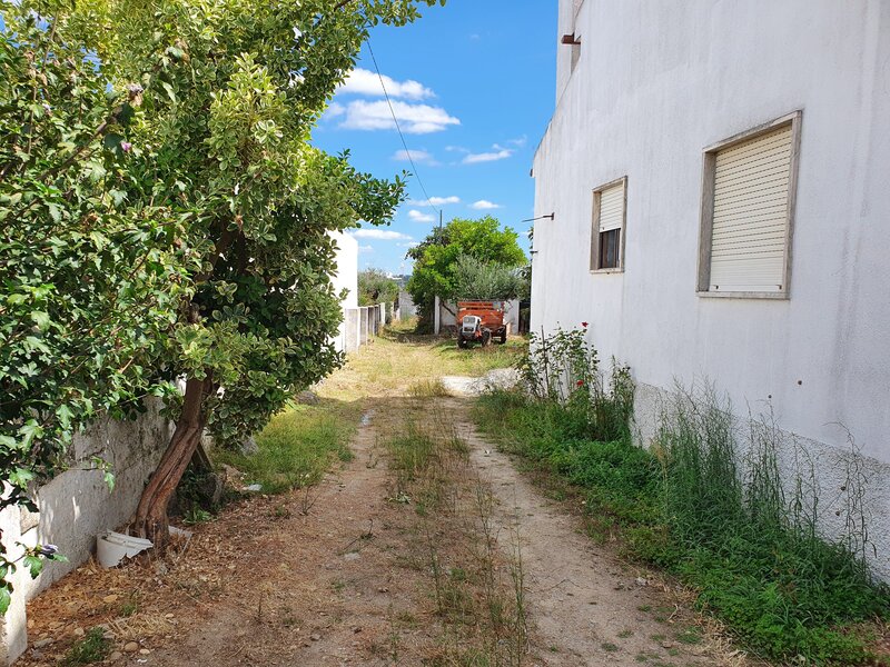 undefined - Image 11