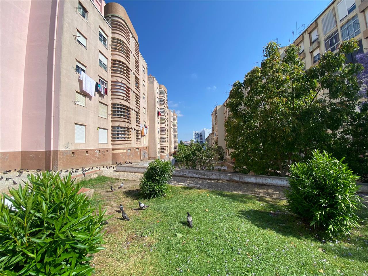 APARTAMENTO T3 OCUPADO ILEGALMENTE, EM PROCESSO JUDICIAL - Image 8